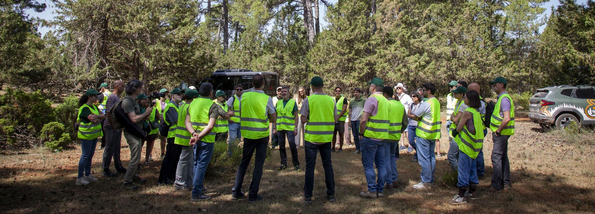 Más de un millón de hectáreas de superficie forestal en España cuentan con la certificación FSC