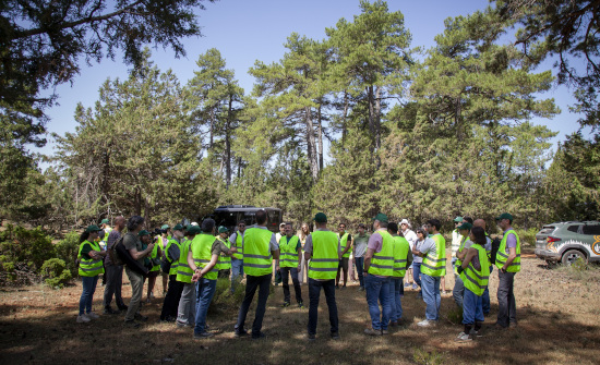 Más de un millón de hectáreas de superficie forestal en España cuentan con la certificación FSC