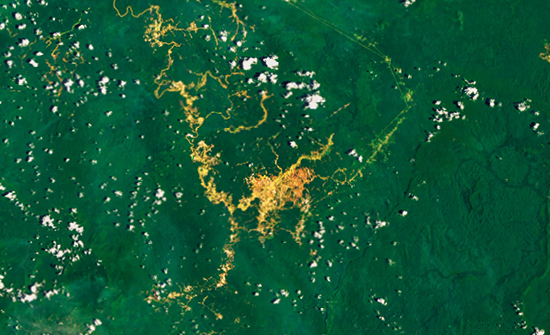 Brasil reduce la deforestación del Amazonas a su nivel más bajo en once años