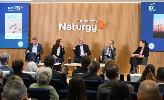 El ritmo actual de ejecución pone en riesgo el cumplimiento de buena parte de los objetivos del PNIEC para 2030